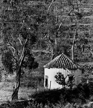 hutte de l'ancien régime, 1969