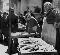 marché aux poissons à rimini, 1961