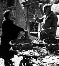 poissonnier à ancône, 1939