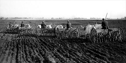 semis mécaniques dans la province de rome, 1930