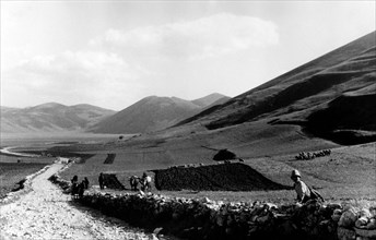 travail dans les champs, 1930