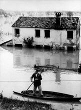 service des inondations à polesine, effets de l'inondation à polesine, 1951