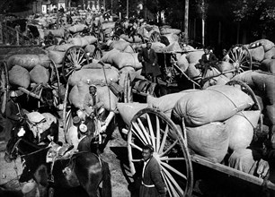 caravane transportant du coton vers le turkistan, 1920 1930