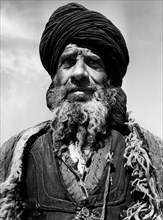 portrait d'un berger afghan, 1955