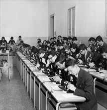 italie, lombardie, milan, étudiants en médecine au microscope, 1965