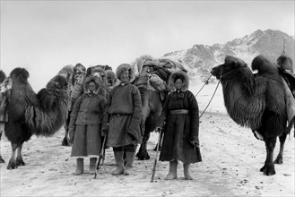 asie, mongolie, chameliers dans le désert, 1958