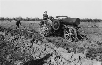 italie, veneto, paysans labourant un champ près de rovigo, 1920 1930