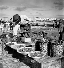 italie, apulie, taranto, vendeur de fruits de mer, 1950