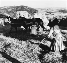 italie, basilicate, paysannes au travail, 1950 1960