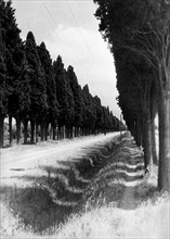 italie, toscane, lucca, viale castruccio castracani, 1920 1930
