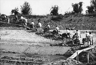 italie, toscane, coltano, travaux de bonification des terres, 1921