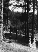 italie, toscane, camaldoli, moines dans la forêt vers l'ermitage, années 1920