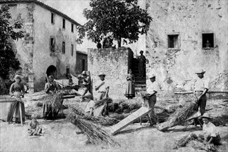 italie, toscane, calcinaia, agriculteurs au battage du blé, 1900 1910