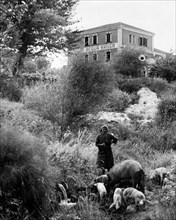 italie, toscane, chianciano terme, con1930