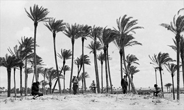 afrique, libye, randonneurs tci dans une oasis, 1937