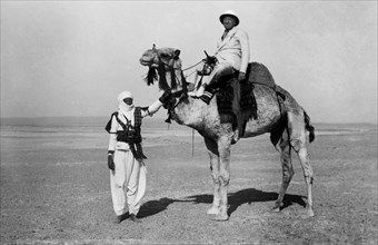 afrique, libye, randonnée à dos de chameau, 1931