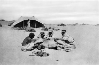 arabie saoudite, vie dans le désert, soins apportés aux pieds des chameaux, 1920 1930