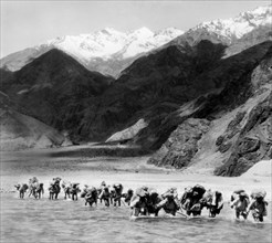 asie, chine, expédition du karakorum, 1940 1950