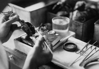 japon, insertion de la graine d'une perle dans un coquillage, 1920 1930