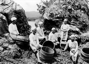 japon, groupe de pêcheurs d'huîtres perlières ama, 1920 1930