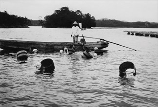 japon, groupe d'ama, pêcheurs d'huîtres perlières, 1920 1930