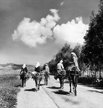chypre, une route de campagne, 1956