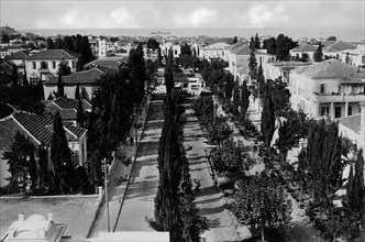 moyen-orient, tel-aviv, boulevard rotshild vers la mer, 1930