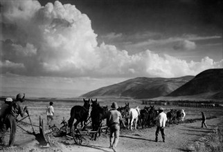 moyen-orient, palestine, plaine d'esdraelon, colons au travail, 1910 1920