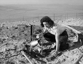medio oriente, israele, negev, agricoltura nel deserto, 1950 1960