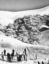 moyen-orient, liban, vallée de kadisha, skieurs près de la forêt de cèdres, 1920 1930