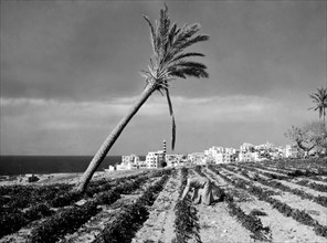 medio oriente, libano, beirut, vista sud della città, 1961