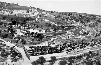 israele, gerusalemme, il giardino dei getsemani, 1910