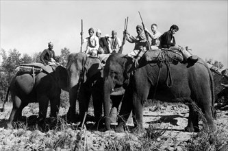 nepal, alcuni indigeni taru su elefanti per la caccia alla tigre, 1953