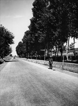 toscana, grosseto, veduta della via aurelia, 1940 1950