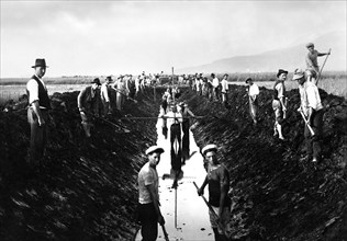 italie, toscane, ouvriers au travail pour la bonification des terres, 1920 1930
