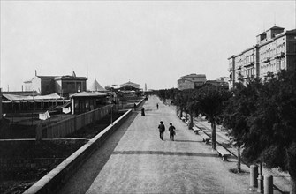 europe, italie, toscane, livourne, vue de viale regina margherita, 1900 1910