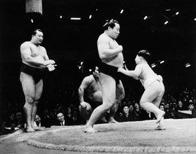 tokyo, champion yokozuna, plus haute récompense pour un lutteur de sumo, 1950 1960