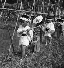 japon, île de kyushu, enfants au festival de la bénédiction du riz, 1962