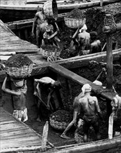india, trasporto del carbone dalla miniera, 1961
