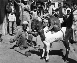 asie, inde, calcutta, jongleurs dans les rues, 1964