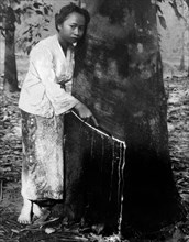 asia, malesia, malacca, la raccolta del lattice, 1920 1930