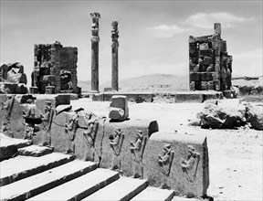 moyen-orient, iran, ruines de persepolis, marches du roi darius avec ses serviteurs, 1963