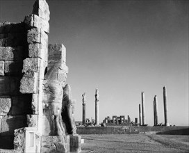 medio oriente, iran, resti di persepoli, 1962