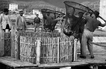 italia, toscana, orbetello, pescatori al lavoro, 1920 1930