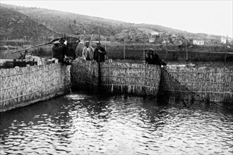 italia, toscana, orbetello, pescatori a lavoro, 1920 1930