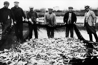italie, toscane, orbetello, pêcheurs au vivier de nassa, 1920 1930
