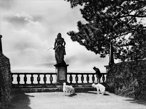 terrasse, villa gamberaia, settignano, toscane, italie 1910-20