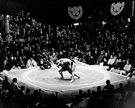giappone, tokyo, combattimento tra lottatori di sumo, 1973