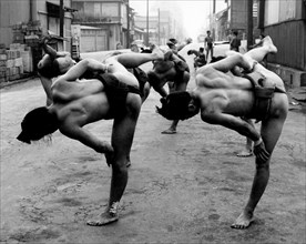 giappone, tokyo, lottatori di sumo, 1970