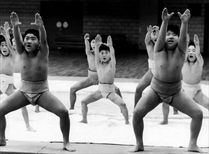 giappone, tokyo, bambini a scuola di sumo, 1973